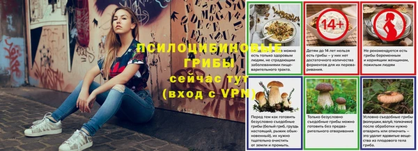 СК Ельня