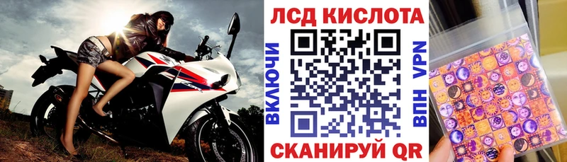купить наркотики цена  Жирновск  Наркотические марки 1,5мг 