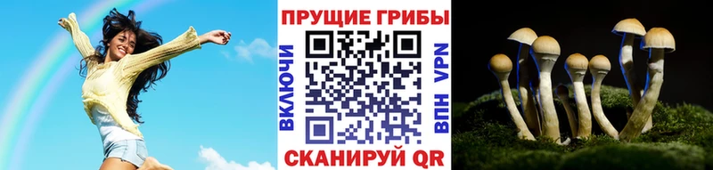 блэк спрут сайт  Жирновск  Галлюциногенные грибы мицелий 
